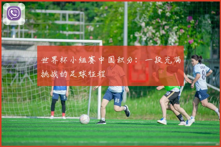 世界杯小组赛中国积分：一段充满挑战的足球征程