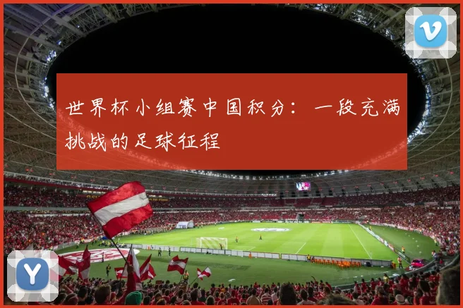 世界杯小组赛中国积分：一段充满挑战的足球征程