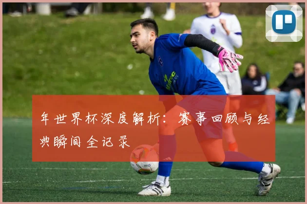 年世界杯深度解析：赛事回顾与经典瞬间全记录